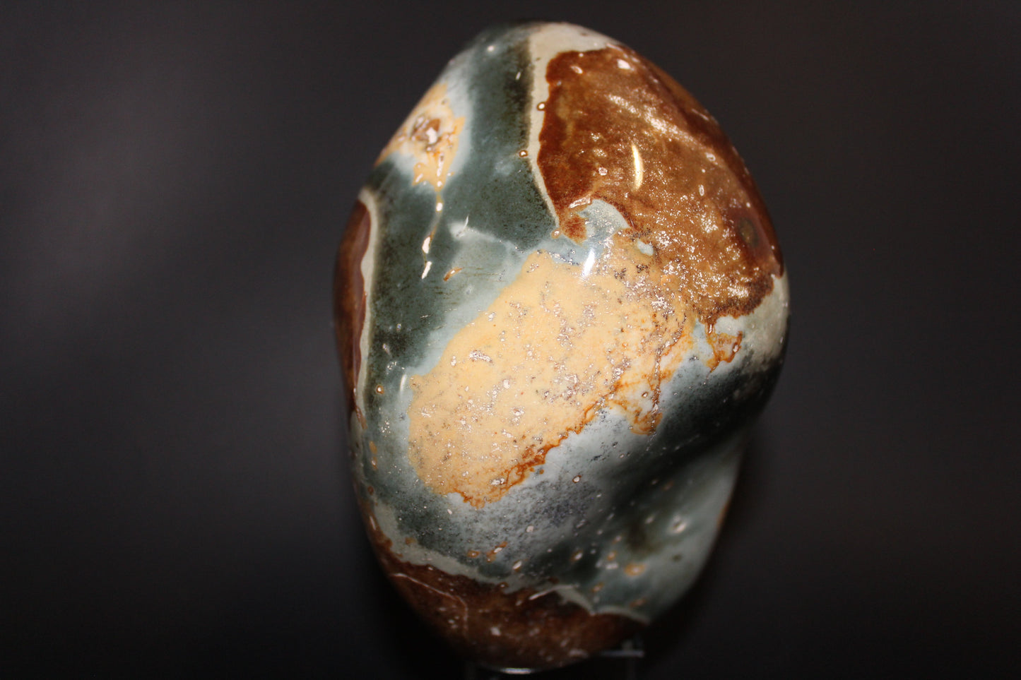 Polished - Polychrome Jasper - freeform - xge