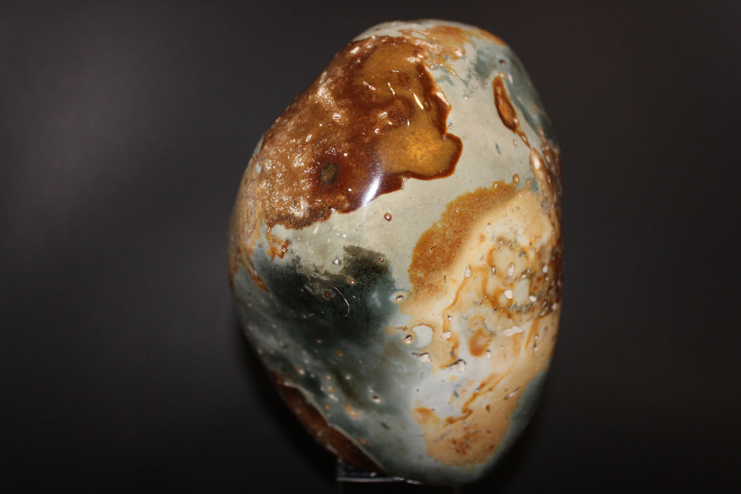 Polished - Polychrome Jasper - freeform - xge