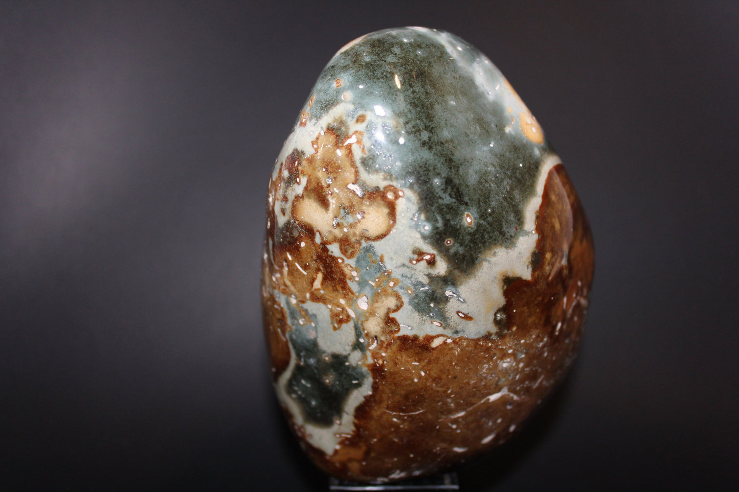 Polished - Polychrome Jasper - freeform - xge