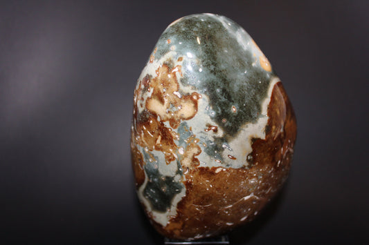 Polished - Polychrome Jasper - freeform - xge