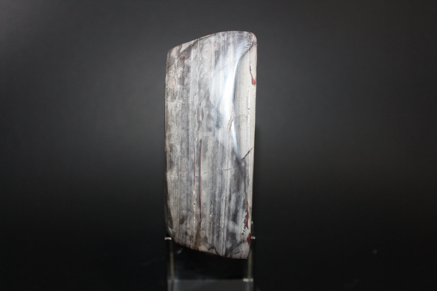 Polished - Primordial Stone - freeform - med