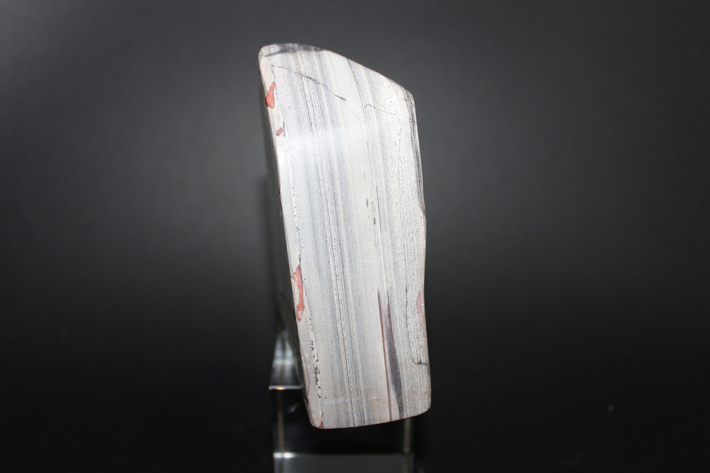 Polished - Primordial Stone - freeform - med