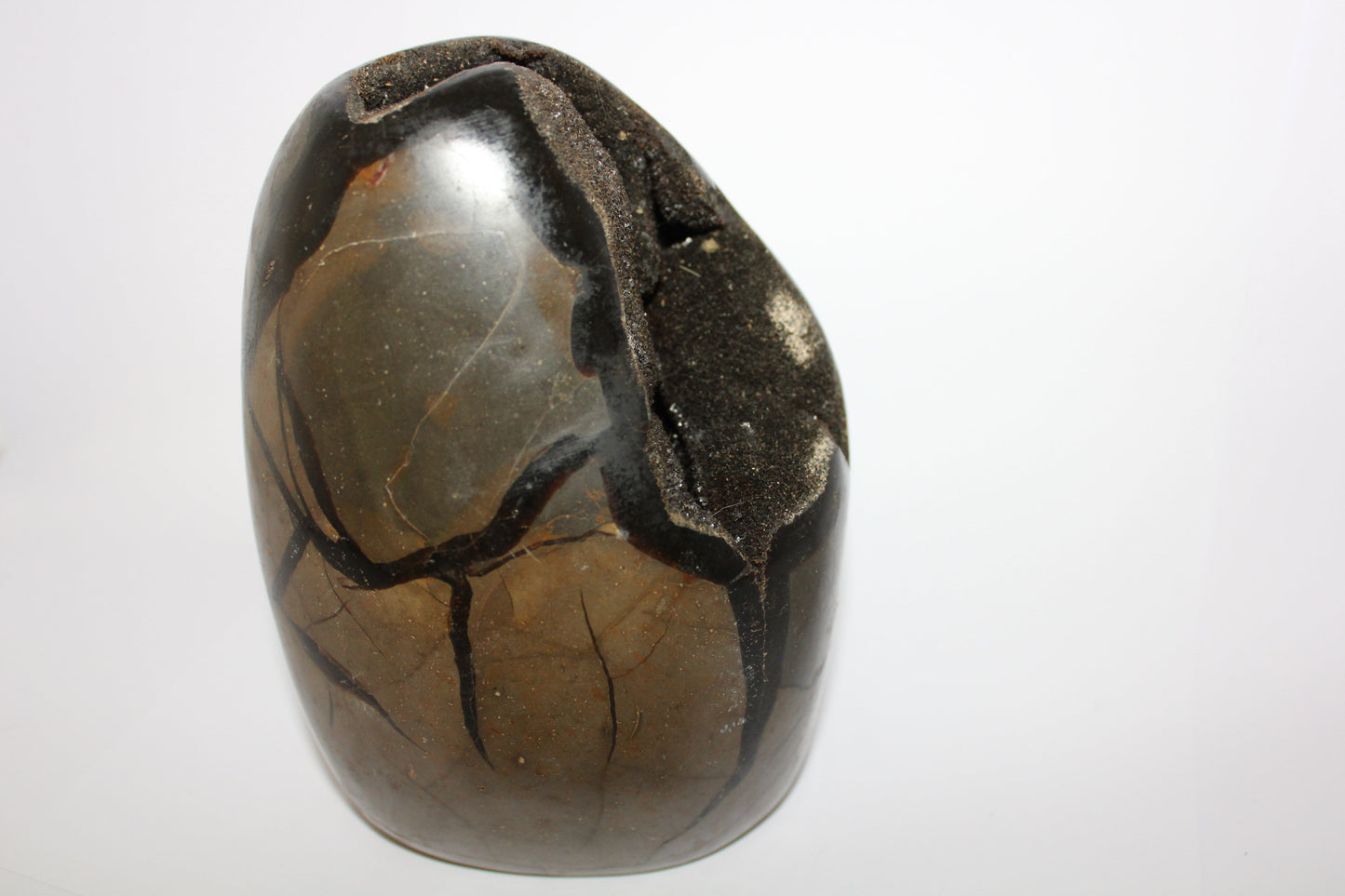 Polished - Septarian - freeform/open - xlge