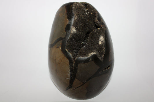 Polished - Septarian - freeform/open - xlge