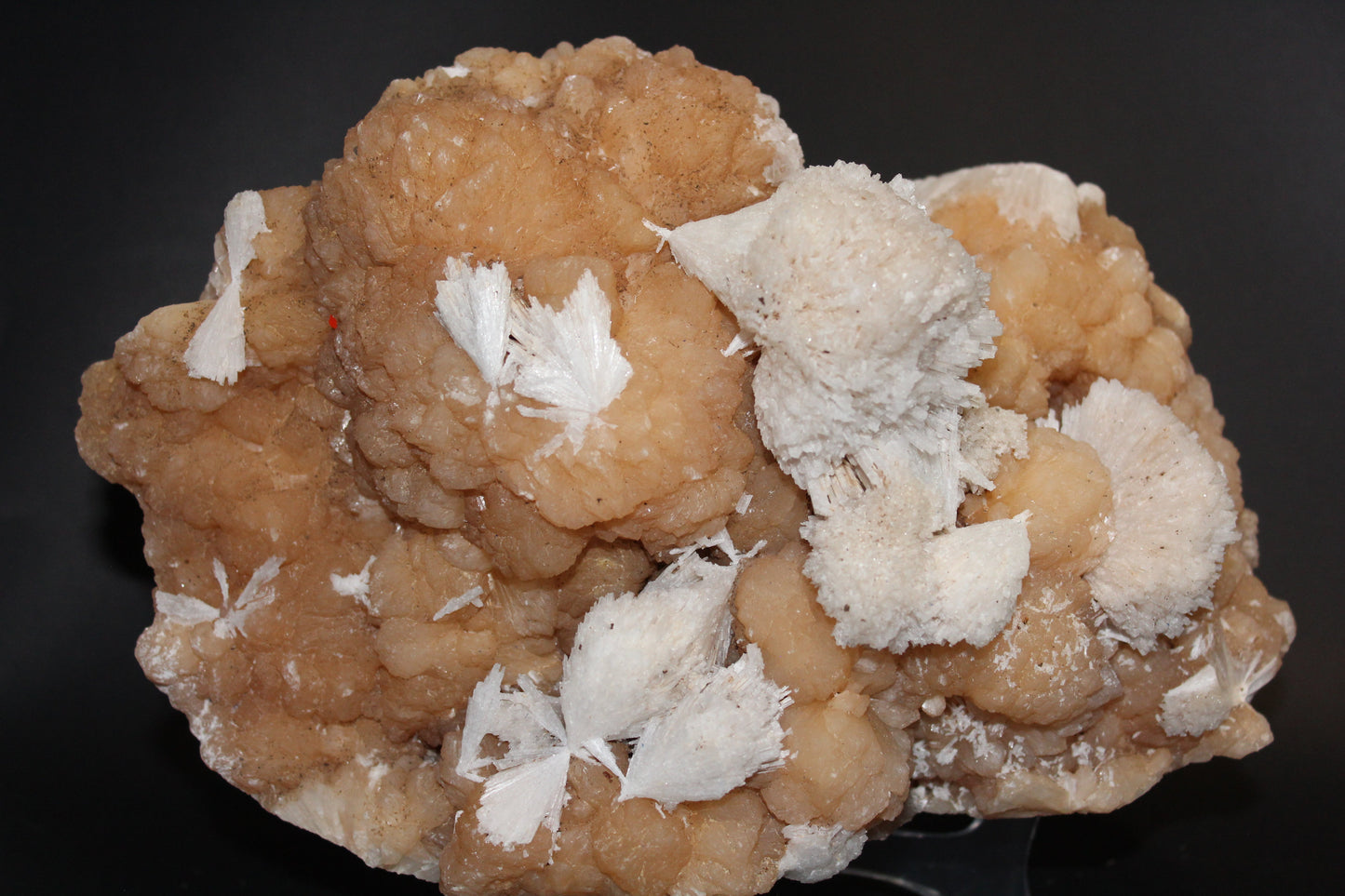 Raw - Stilbite (with Calcite) - xlge