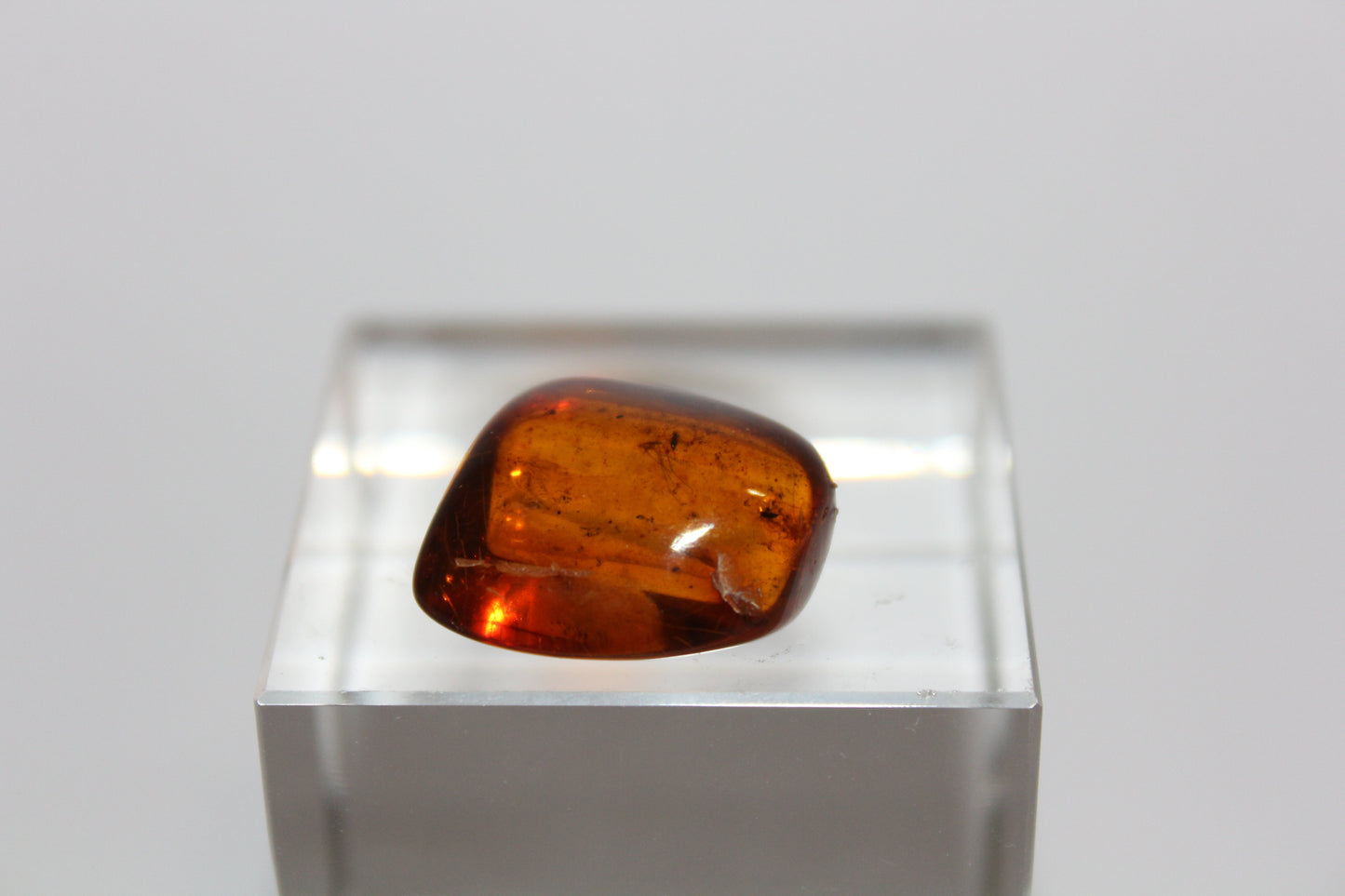 Raw - Amber (contains insect) - sml