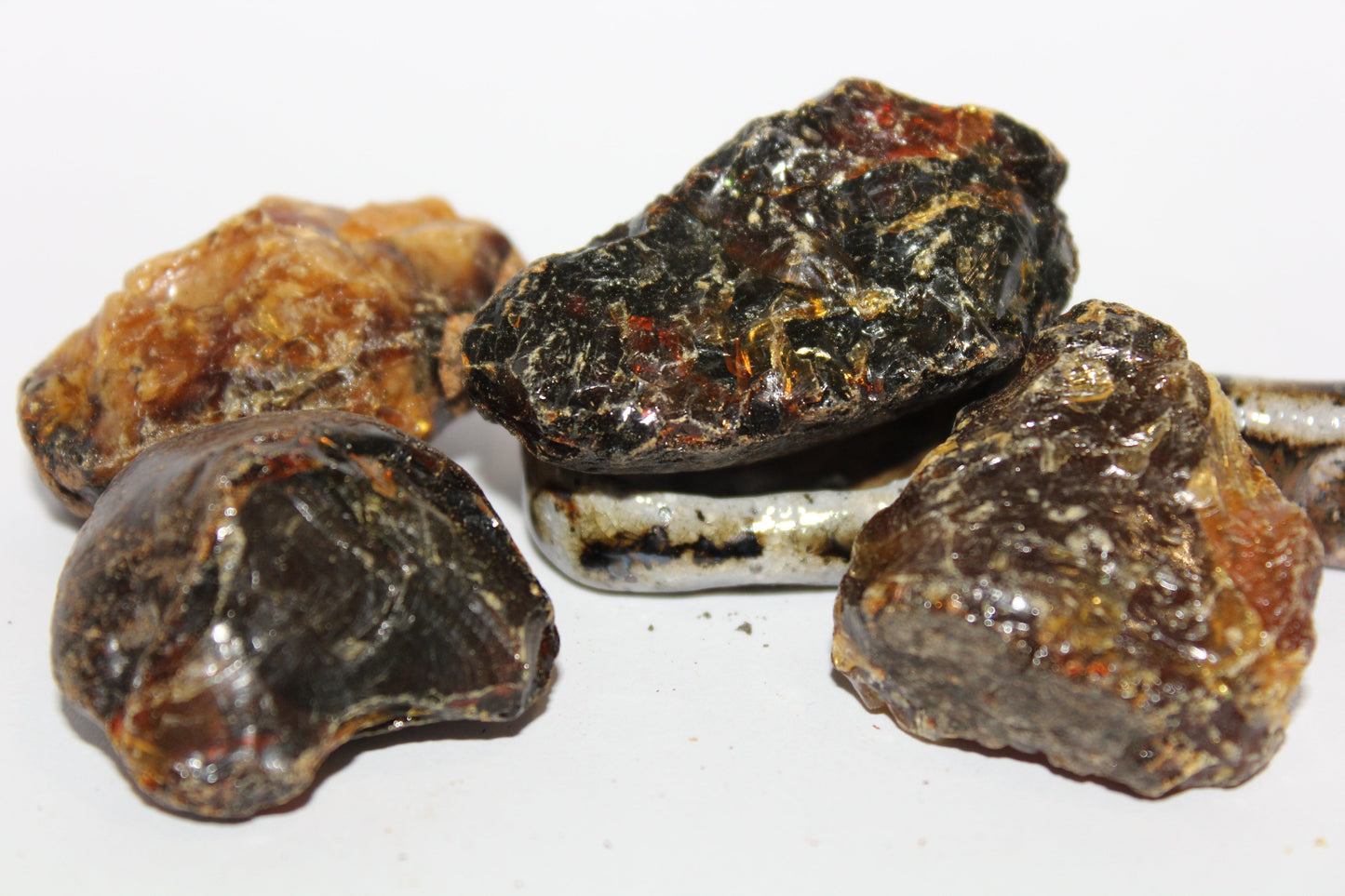 Raw - Amber (Sumatra, Ind) - med