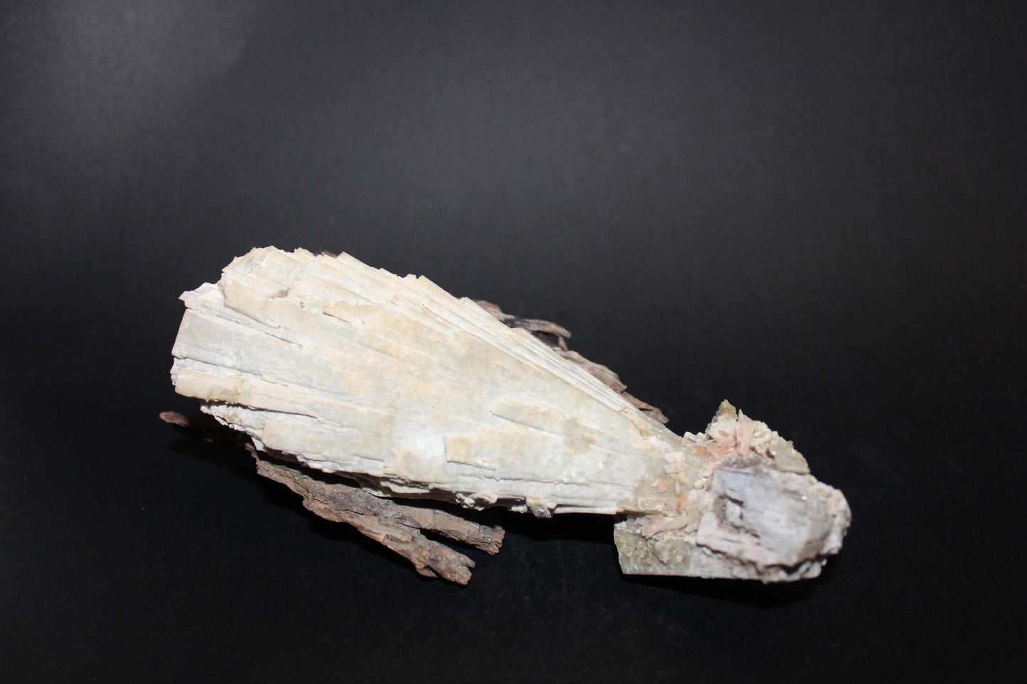 Raw - Gypsum - med/lge