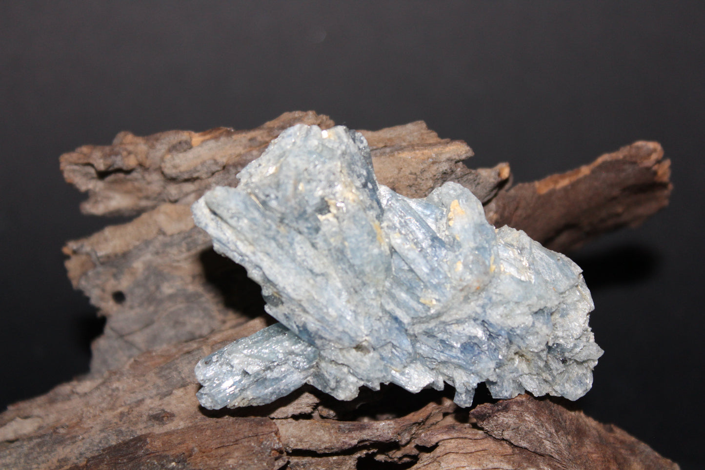 Raw - Kyanite - Blue (crystalline with mica) - sml