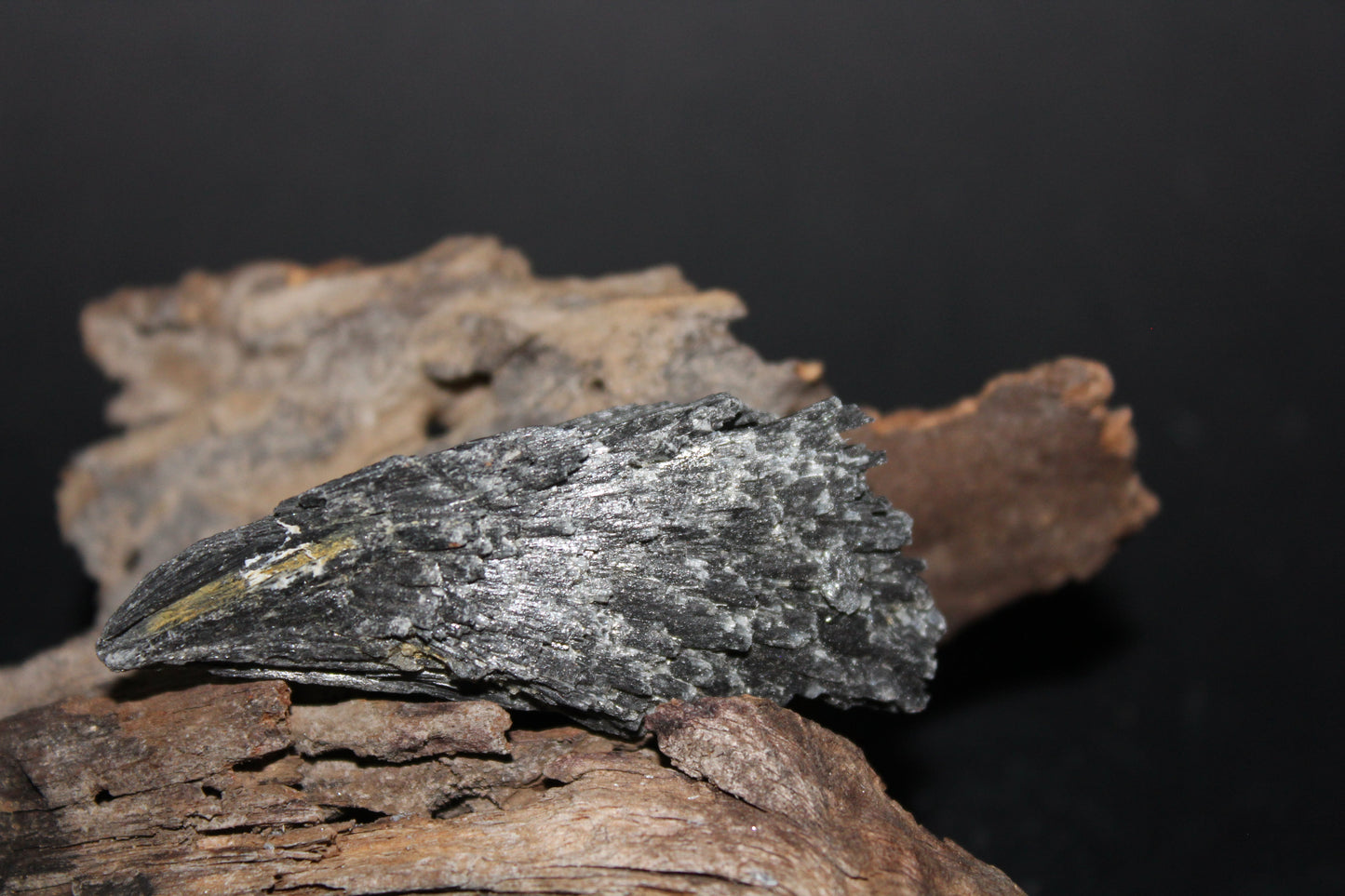 Raw - Black Kyanite - sml