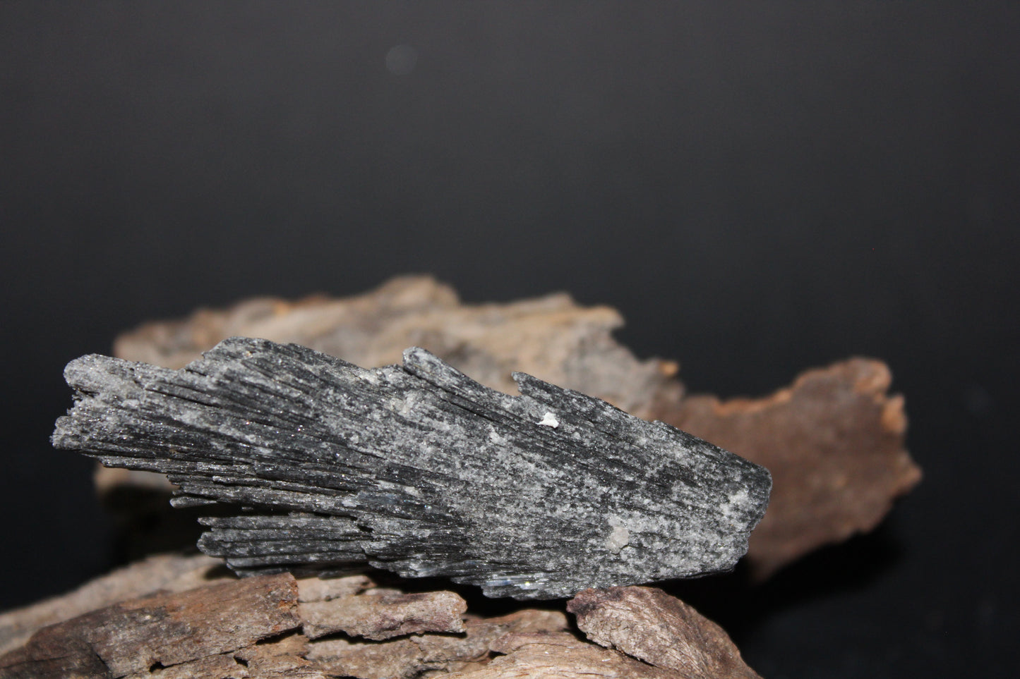 Raw - Black Kyanite - sml