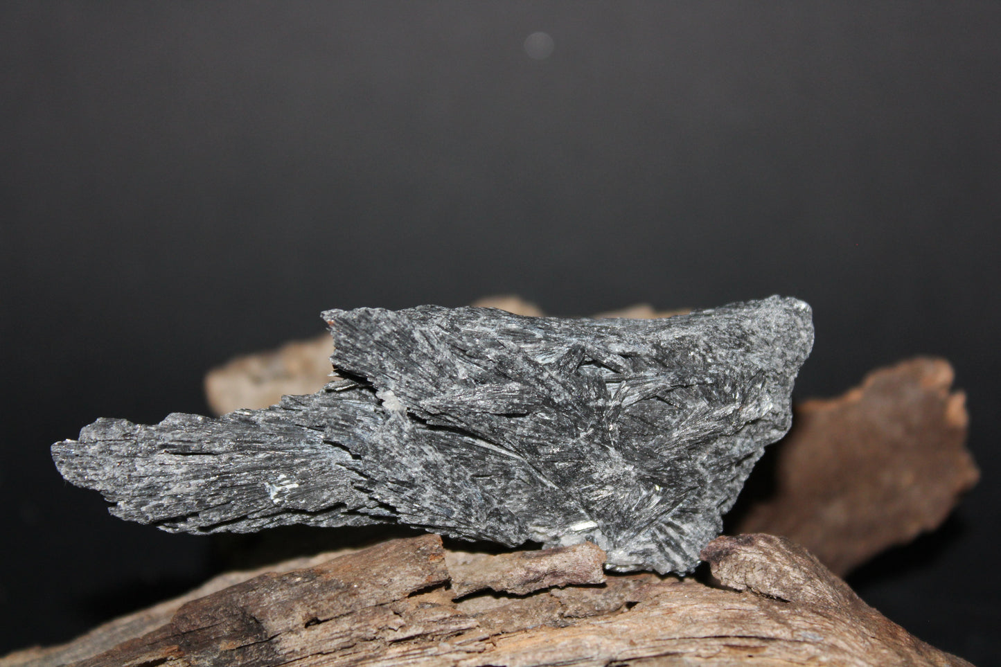Raw - Black Kyanite - sml