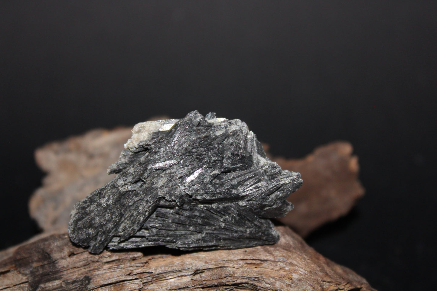 Raw - Black Kyanite - sml