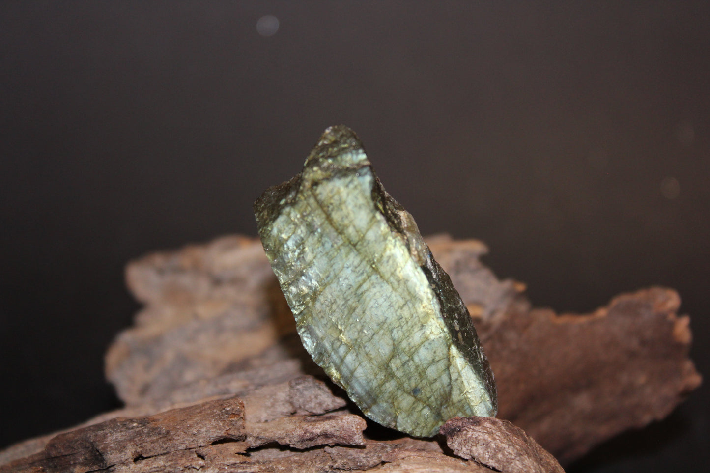 Slice - Labradorite (raw) - xsml