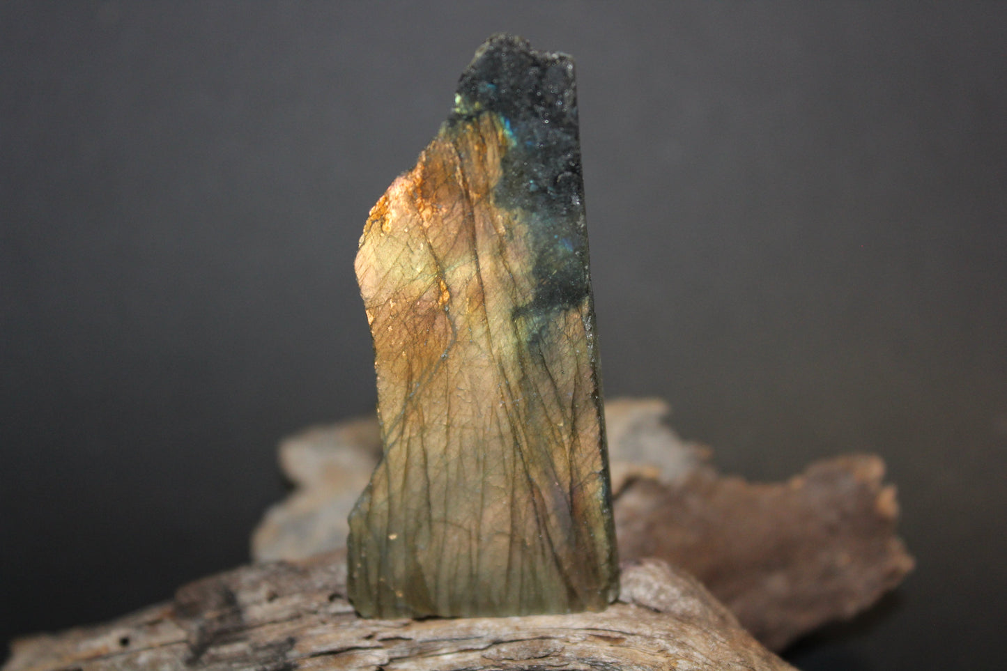 Slice - Labradorite (raw) - xsml