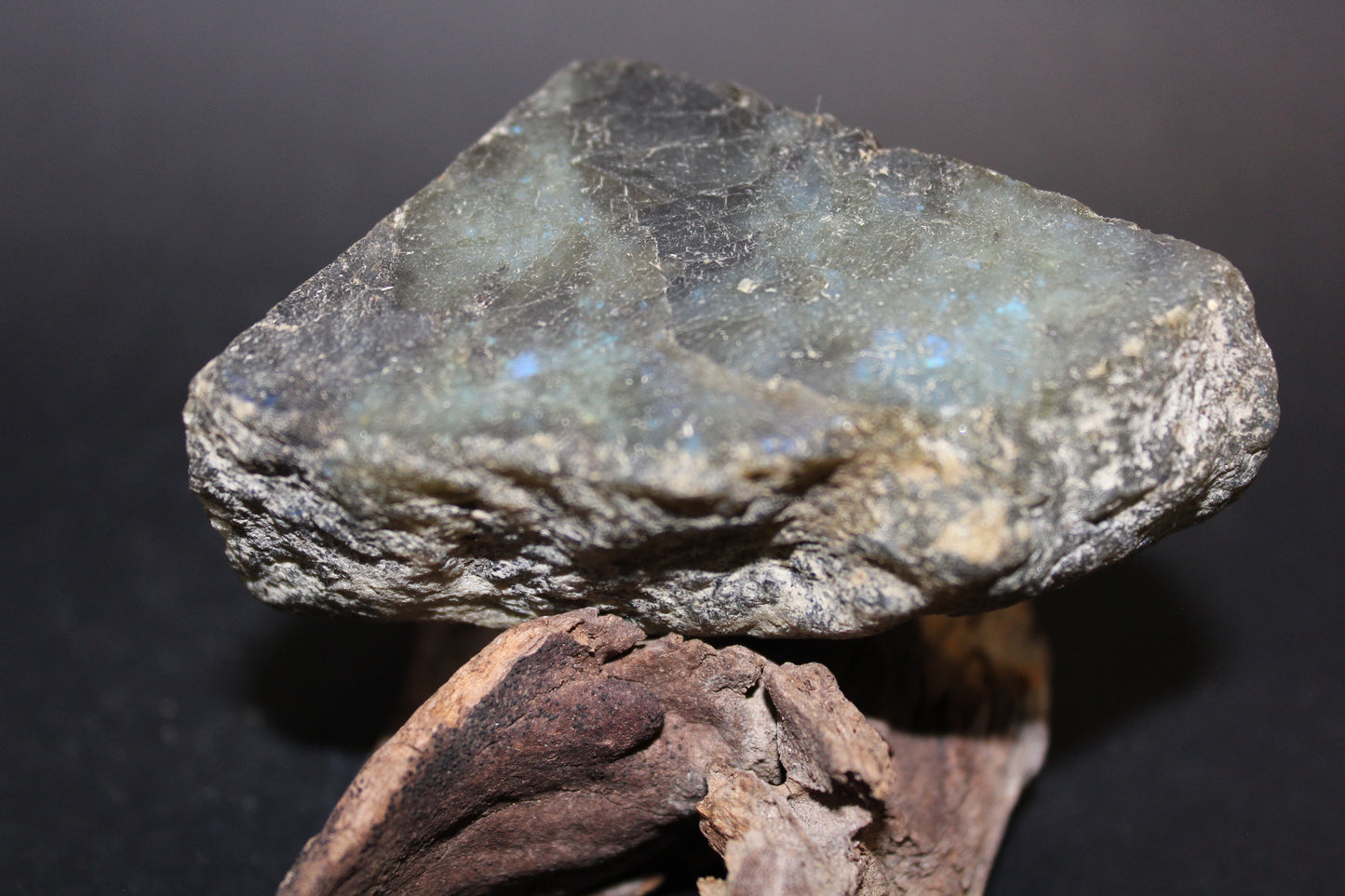 Raw - Labradorite (cut) - med/lge