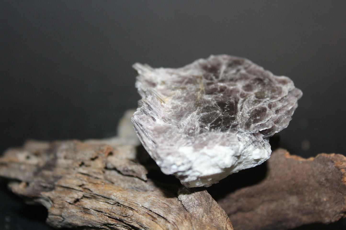 Raw - Lepidolite (with mica) - sml