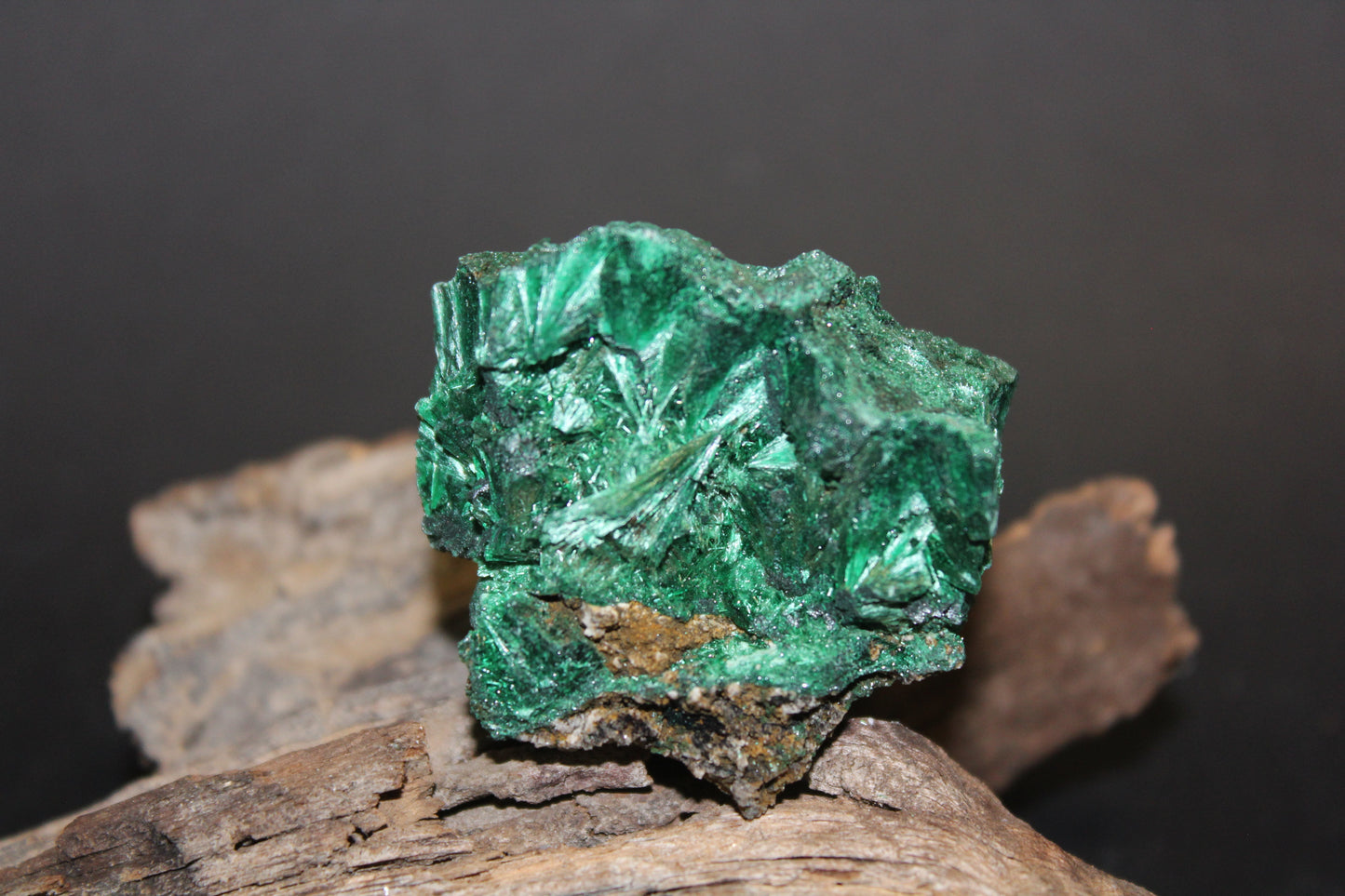 Raw - Malachite (Congo - crystalline) - sml