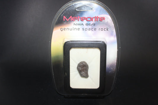 Raw - Meteorite (NWA869, Africa) - sml