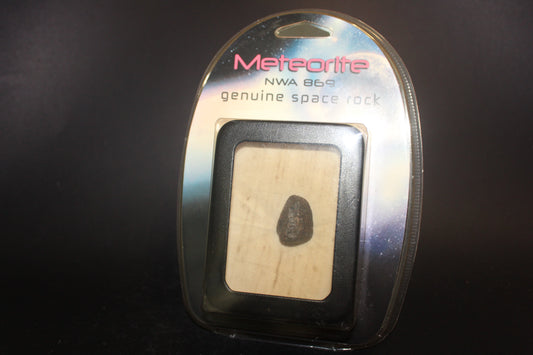 Raw - Meteorite (NWA869, Africa) - sml