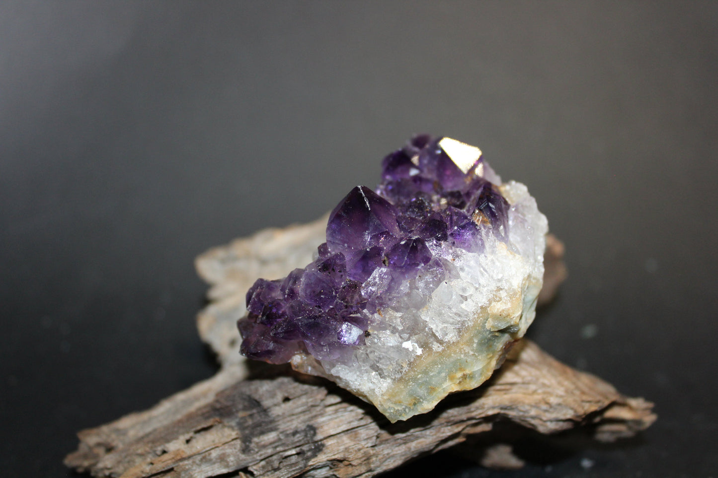 Cluster - Amethyst (flat)  - sml