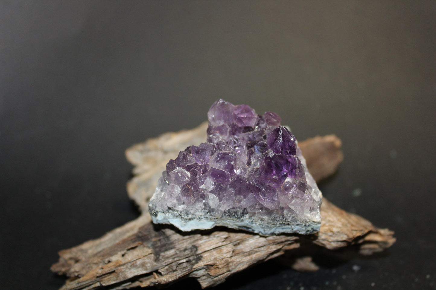 Cluster - Amethyst (flat)  - sml