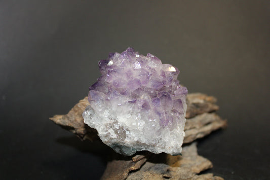 Cluster - Amethyst (flat)  - sml