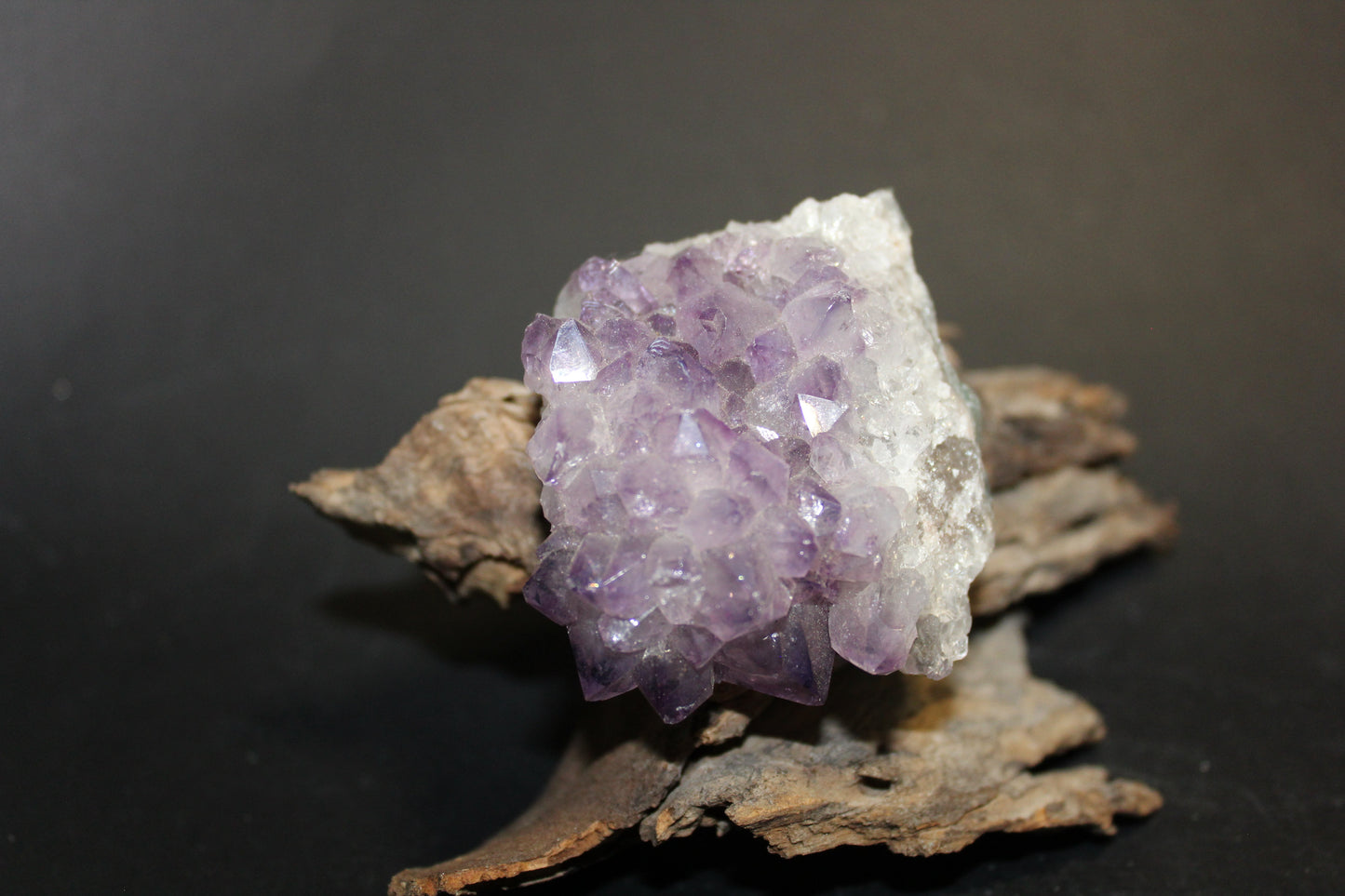 Cluster - Amethyst (flat)  - sml