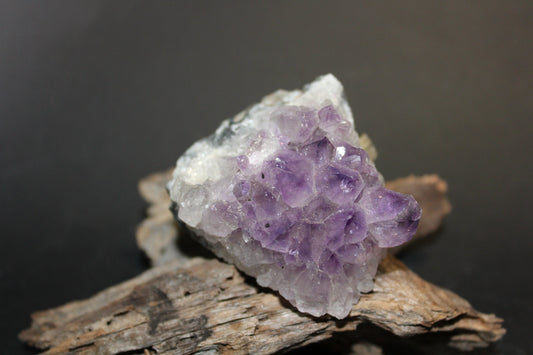 Cluster - Amethyst (flat)  - sml