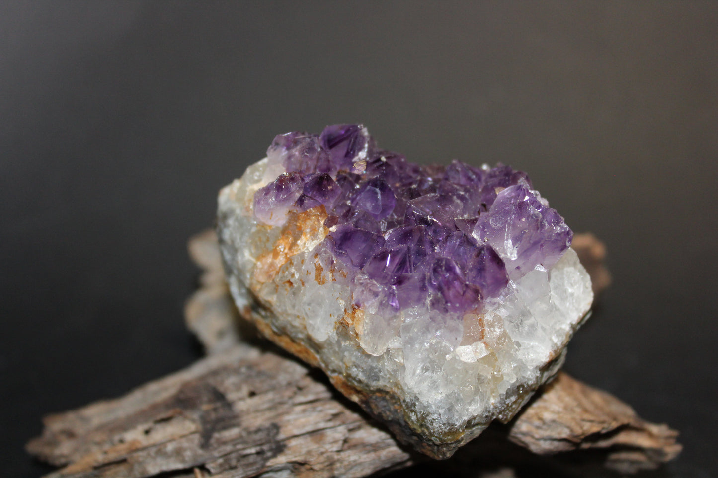 Cluster - Amethyst (flat)  - sml