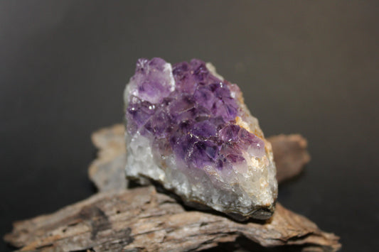Cluster - Amethyst (flat)  - sml
