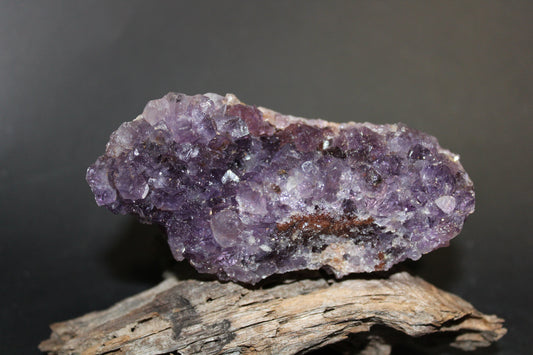 Cluster - Amethyst (flat)  - med