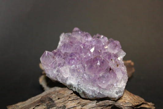 Cluster - Amethyst (flat)  - med