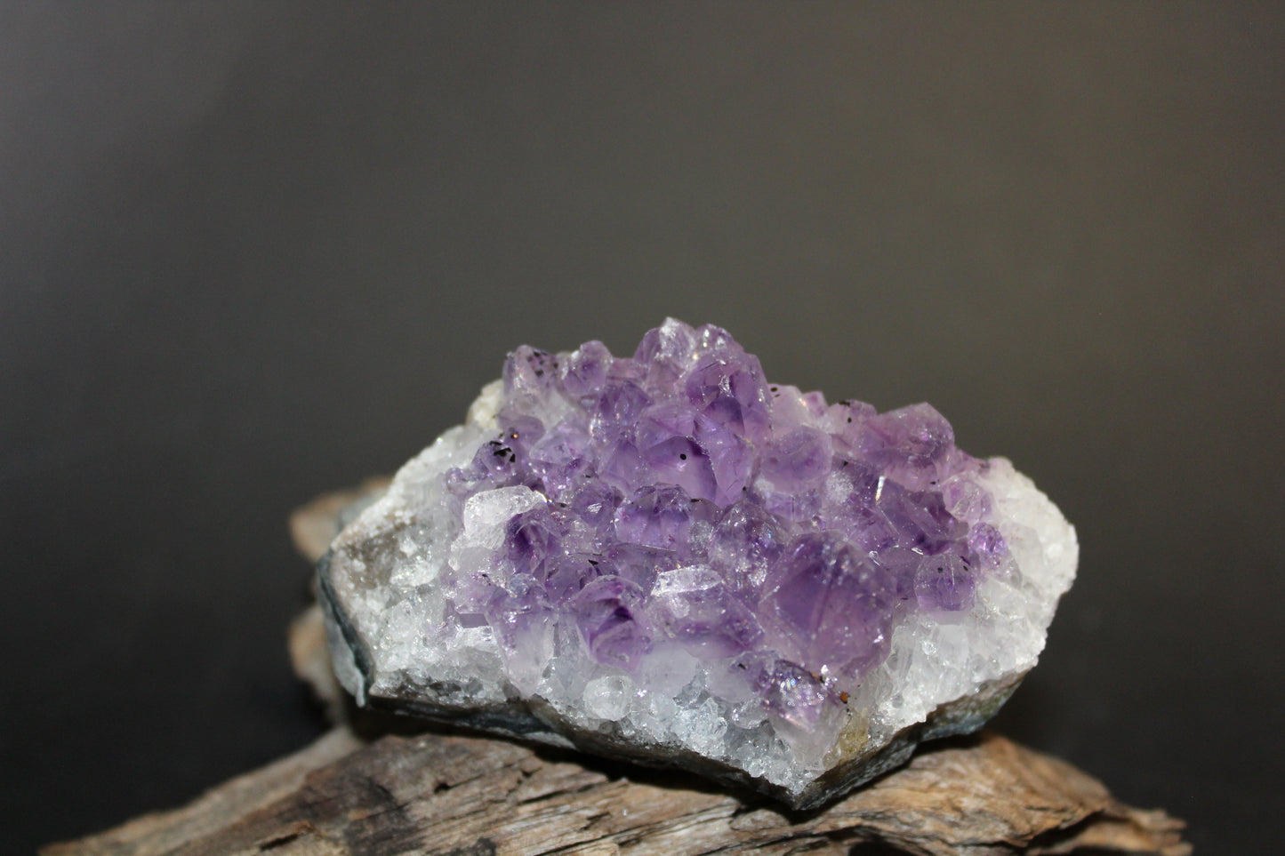 Cluster - Amethyst (flat)  - med