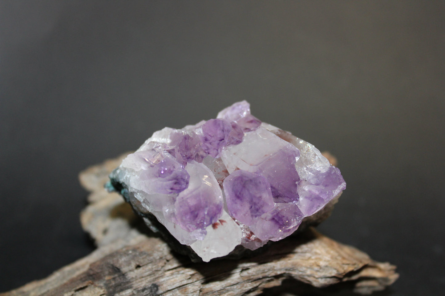 Cluster - Amethyst (flat)  - med
