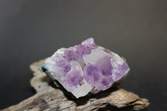 Cluster - Amethyst (flat)  - med