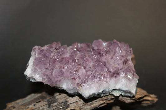 Cluster - Amethyst (flat)  - med
