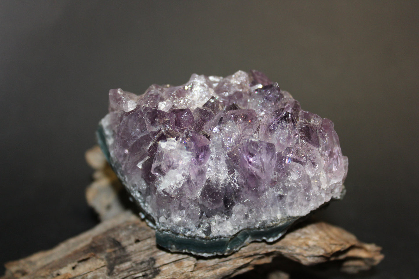 Cluster - Amethyst (flat)  - med