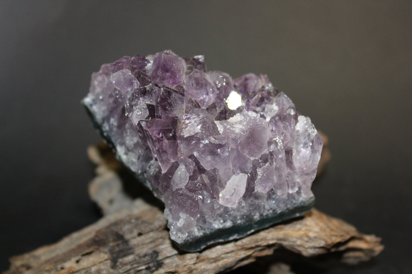 Cluster - Amethyst (flat)  - med