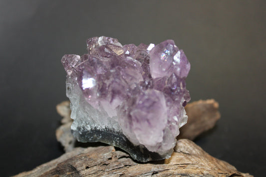 Cluster - Amethyst (flat)  - med