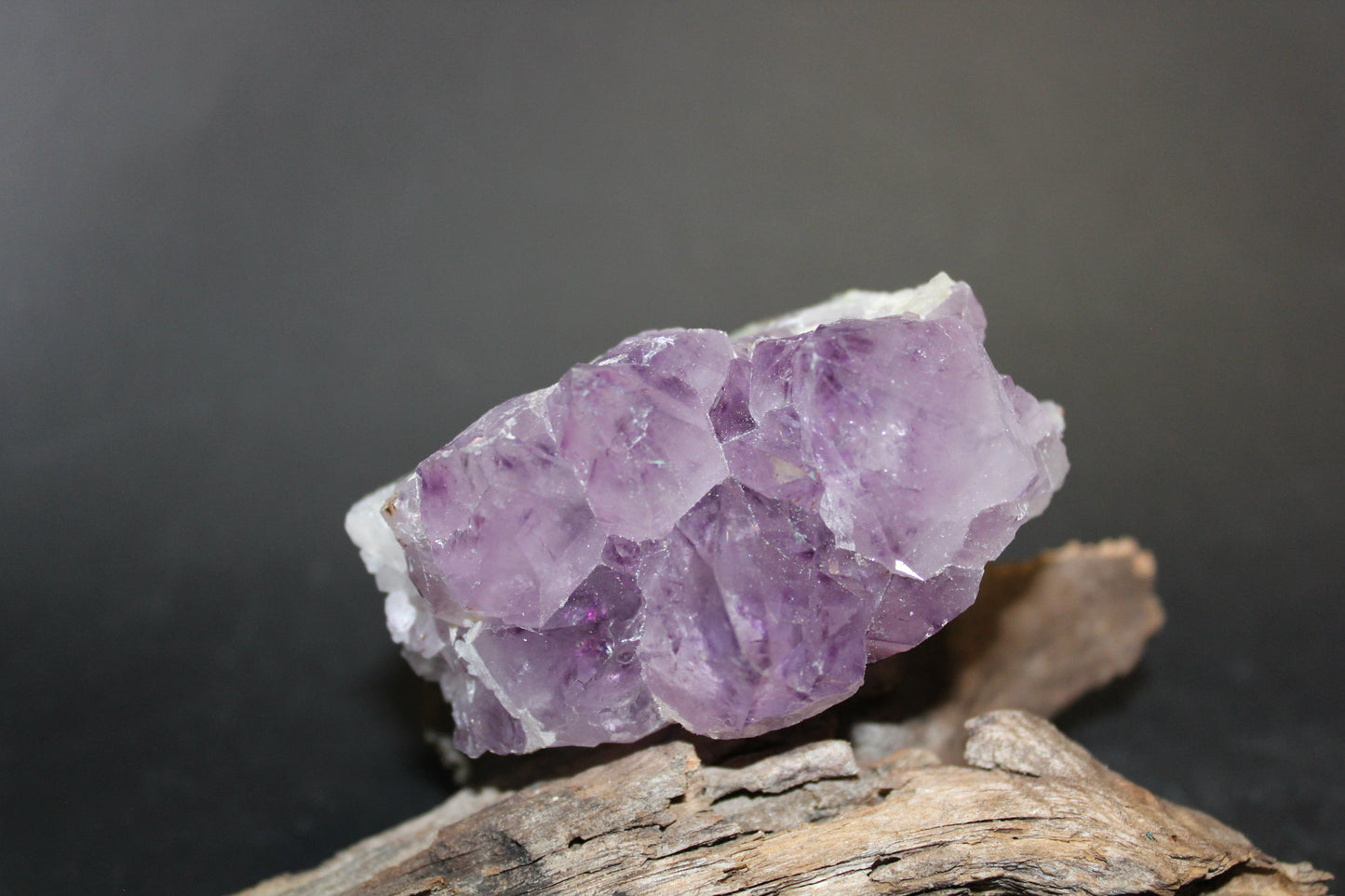 Cluster - Amethyst (flat)  - med