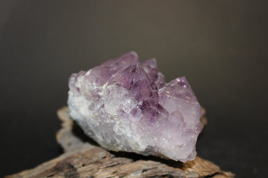 Cluster - Amethyst (flat)  - med