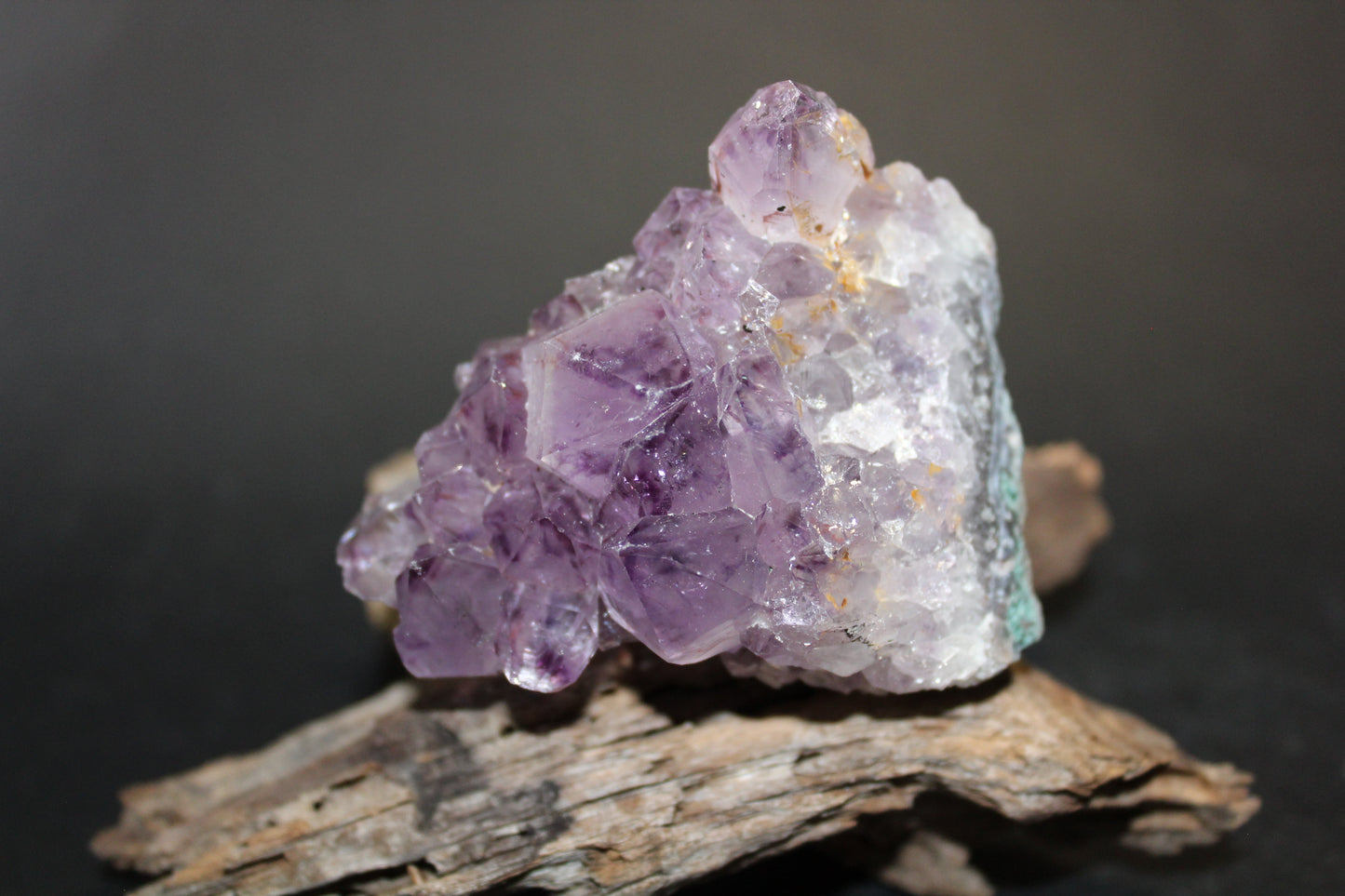 Cluster - Amethyst (flat)  - med