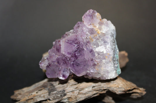 Cluster - Amethyst (flat)  - med