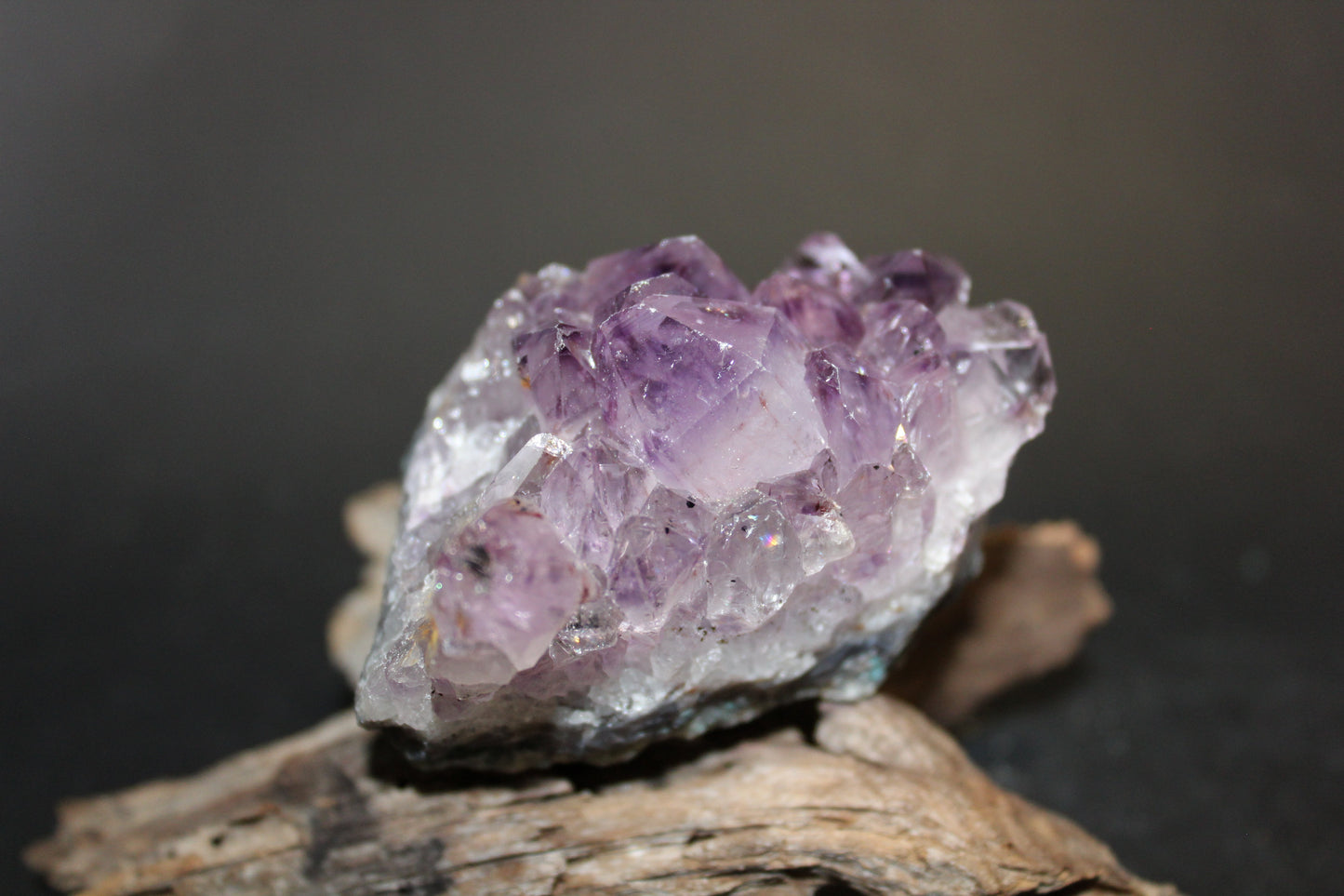 Cluster - Amethyst (flat)  - med