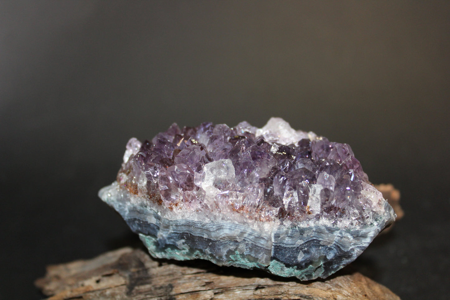 Cluster - Amethyst (flat)  - med
