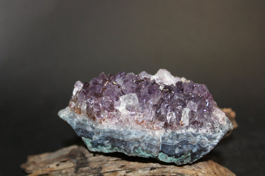 Cluster - Amethyst (flat)  - med