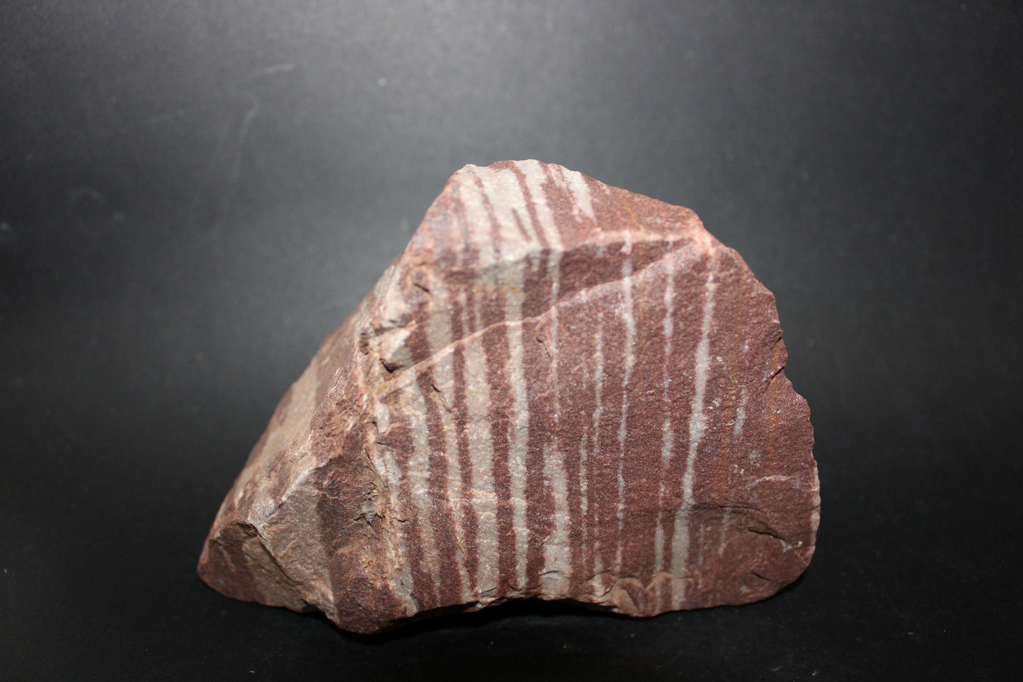 Raw - Shiva Lingham - med/lge