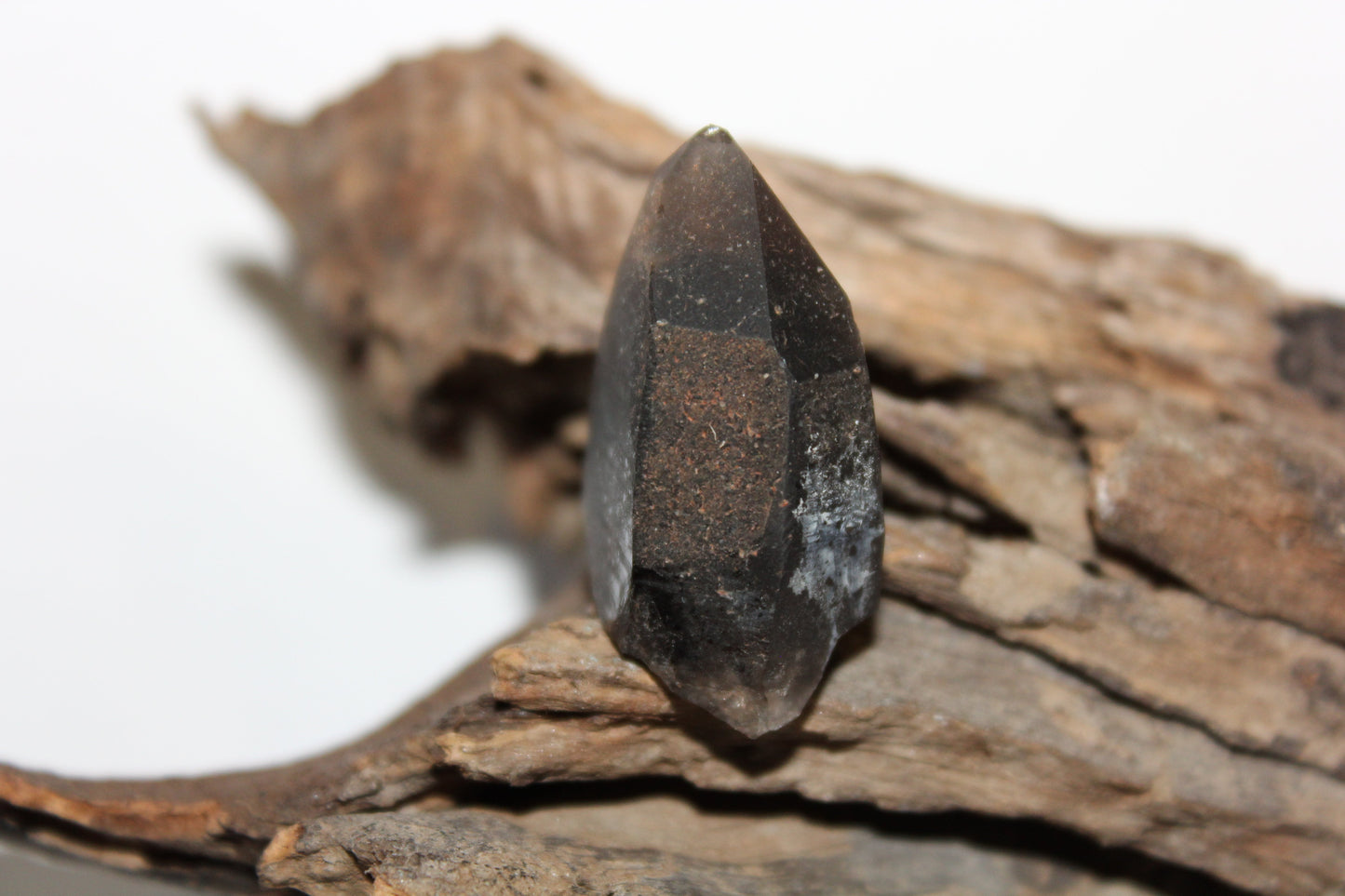 Raw - Smoky Quartz (Crystal Peak, Colorado) - sml