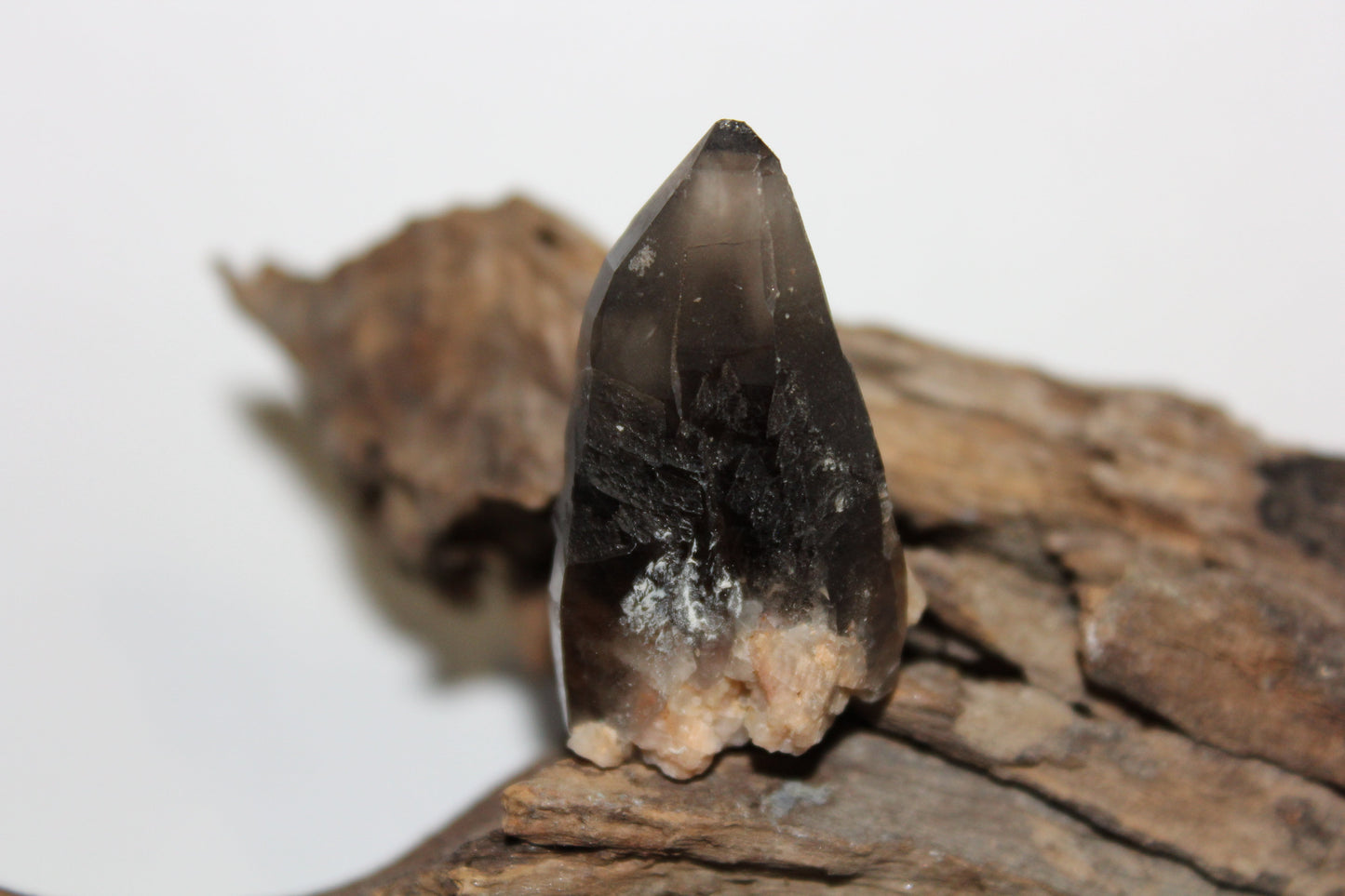 Raw - Smoky Quartz (Crystal Peak, Colorado) - sml